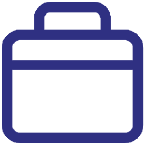 icon1.1