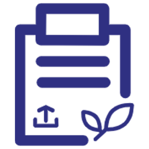 icon1.3