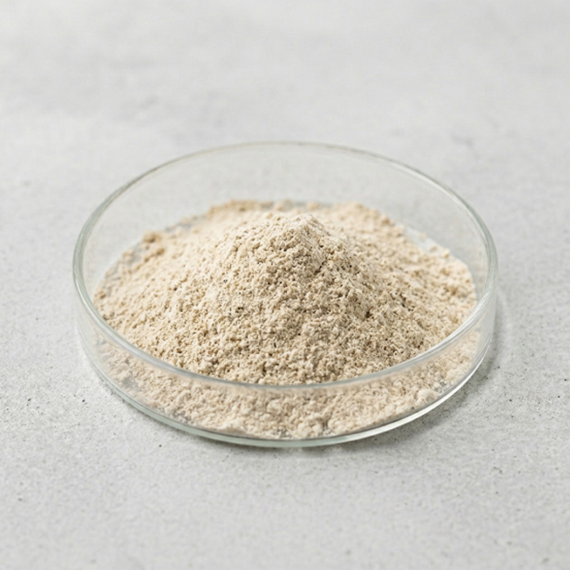 Biological Shiitake Powder