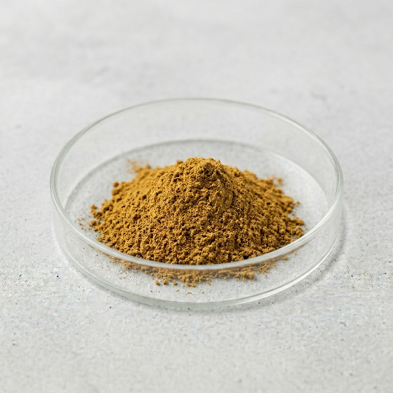 Benefacta-6
